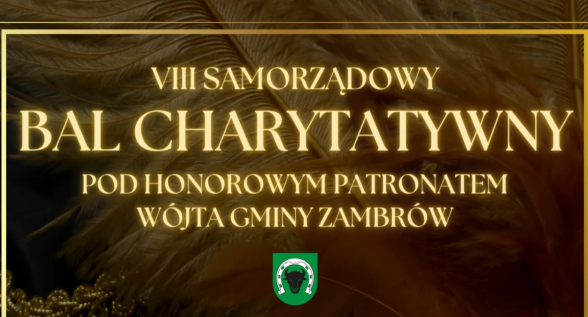 Zdjęcie: VIII Samorządowy Bal Charytatywny