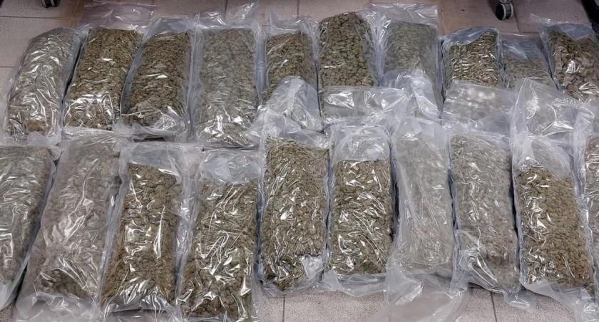 zdjęcie: marihuana