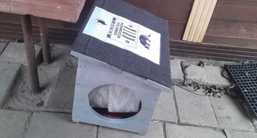 zdjęcie: domki dla kotów