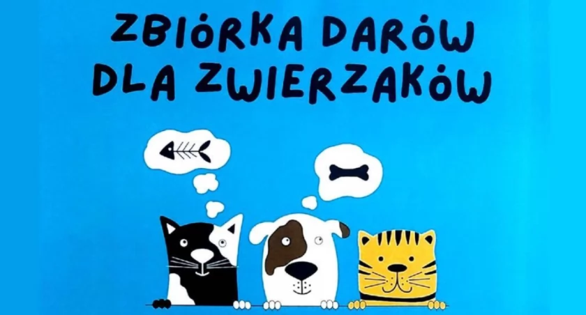 zdjęcie: Fundacja dla zwierząt Jedno Serce Nie Da Rady
