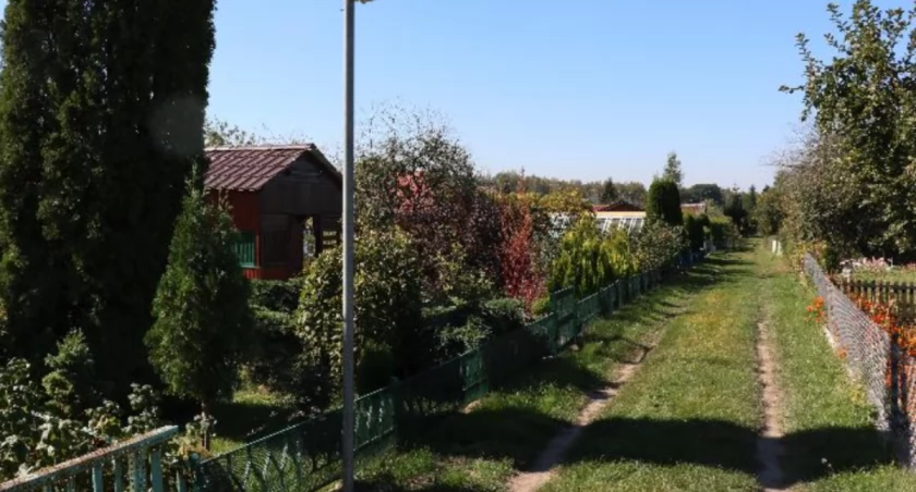 zdjęcie: rodzinne ogrody działkowe
