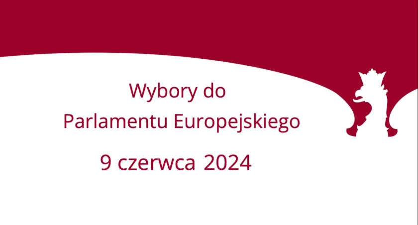 zdjęcie: wybory do europarlamentu