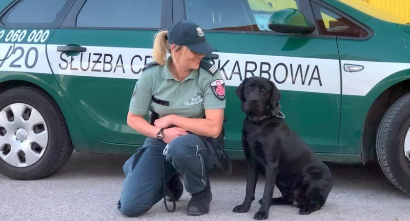 zdjęcie: pies służbowy Denar