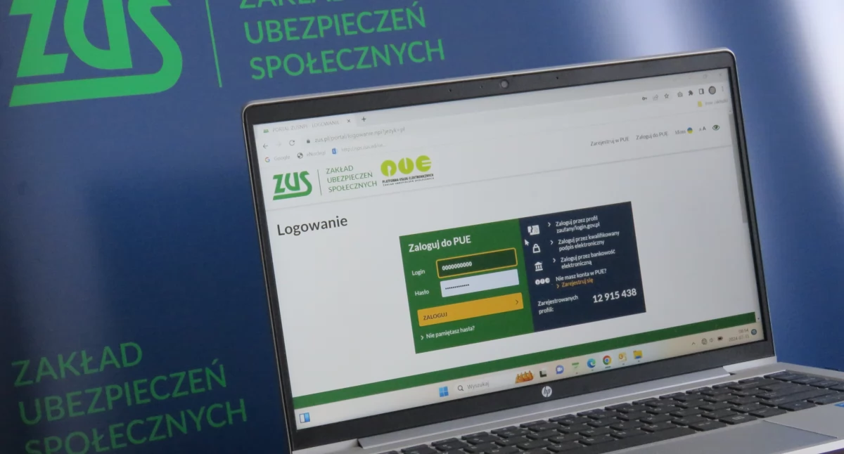  biznes i praca, Platforma Usług Elektronicznych zmienia - zdjęcie, fotografia