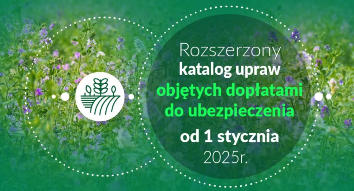 rolnictwo, Zmienił katalog upraw objętych dopłatami składek ubezpieczenia - zdjęcie, fotografia