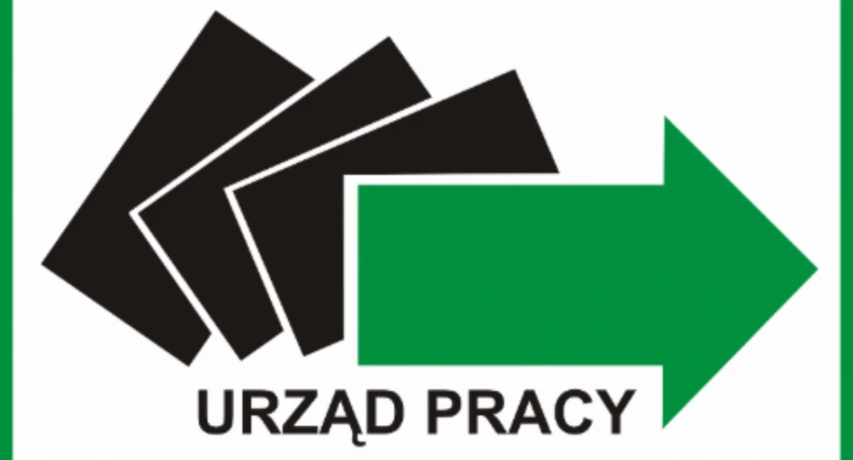 zdjęcie: praca Zambrów