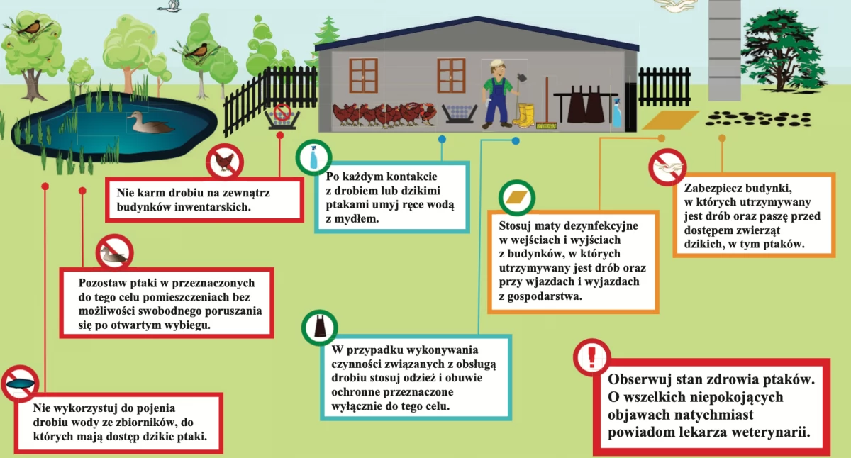 Zasady ochrony gospodarstw przed HPAI i ND