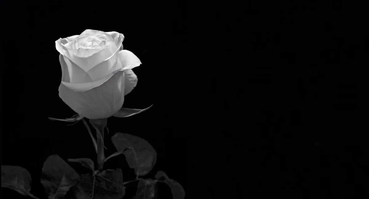 Podziękowanie za udział w ostatnim pożegnaniu