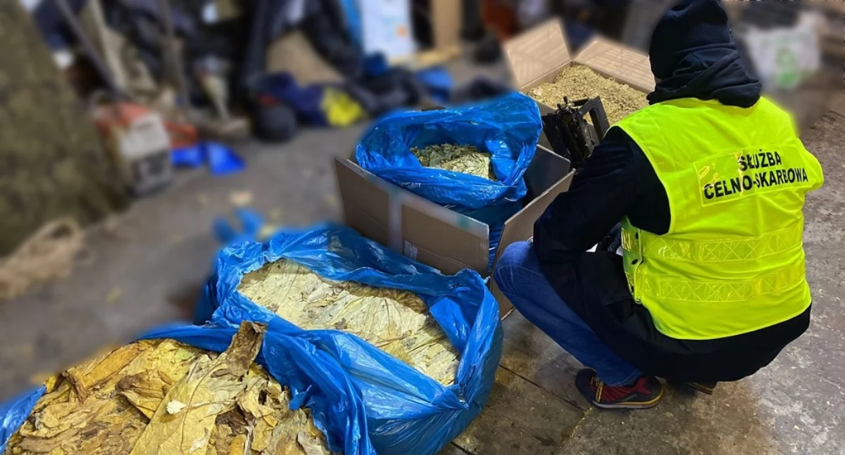 z regionu, Przewoził nielegalnego tytoniu garażu miał jeszcze więcej [FOTO] - zdjęcie, fotografia