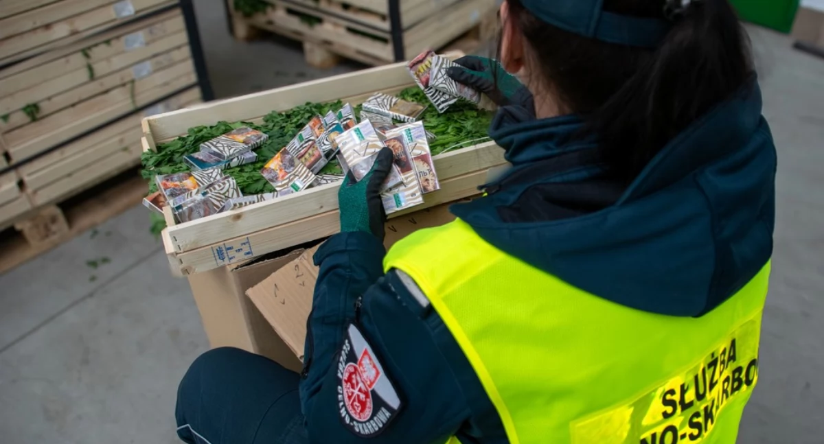 Próba przemytu 50 tys. paczek białoruskich papierosów w pietruszce udaremniona [FOTO]