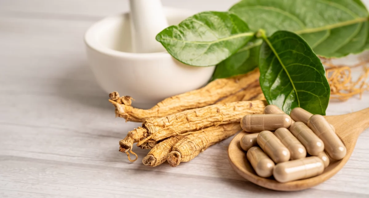 Ashwagandha – hit na stres czy przereklamowany adaptogen?