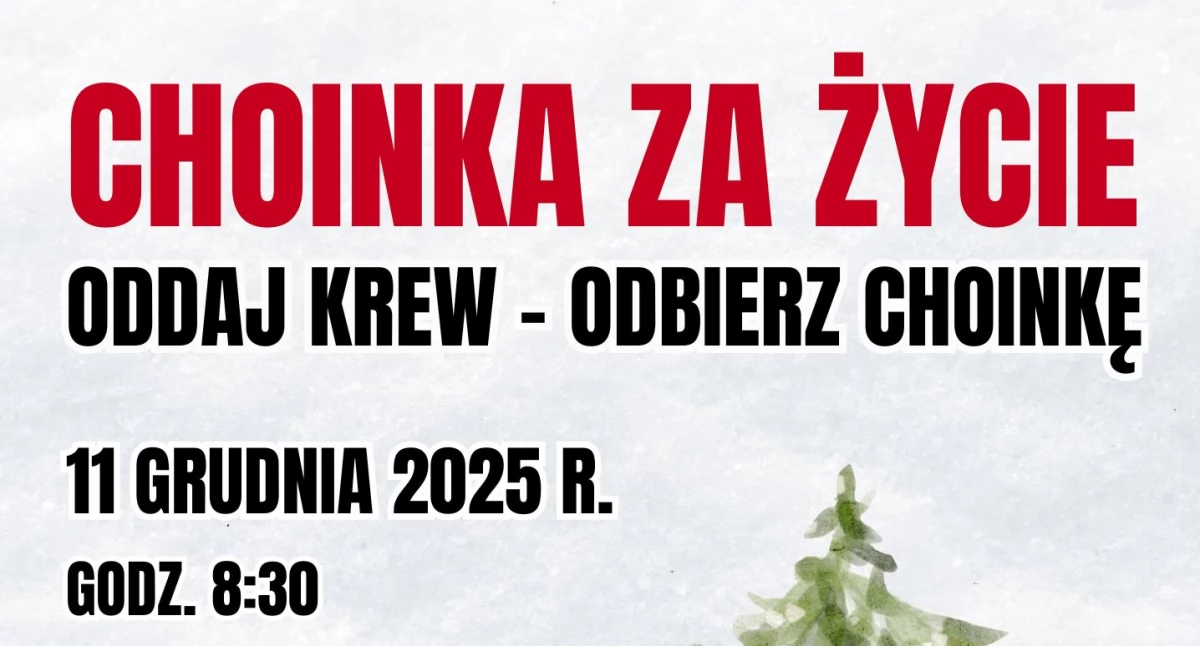 charytatywne wolontariat, Akcja Choinka Życie oddaj odbierz choinkę świąteczną [VIDEO] - zdjęcie, fotografia