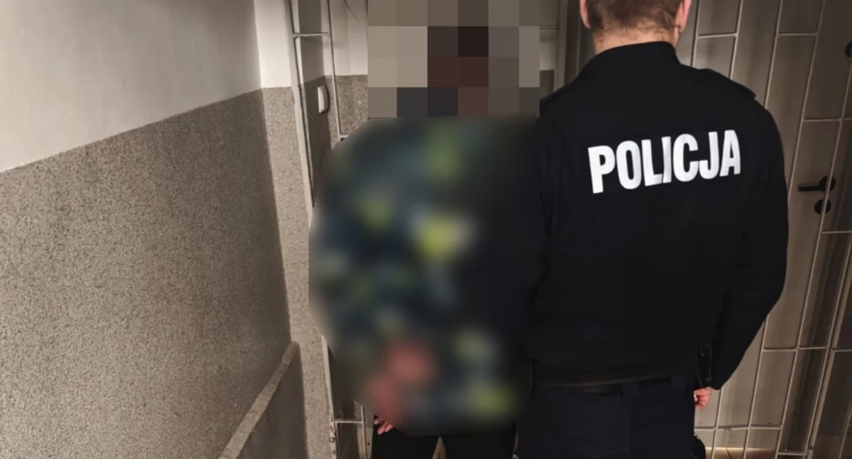 policja, Został zaatakowany podczas spaceru Sprawca miał uderzać pięściami młotkiem głowę twarz - zdjęcie, fotografia