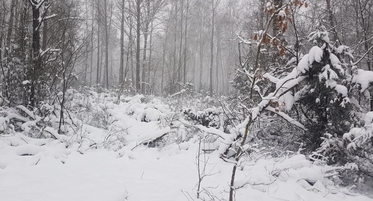 meteo, Zawieje zamiecie śnieżne Synoptycy wydali ostrzeżenie drugiego stopnia - zdjęcie, fotografia