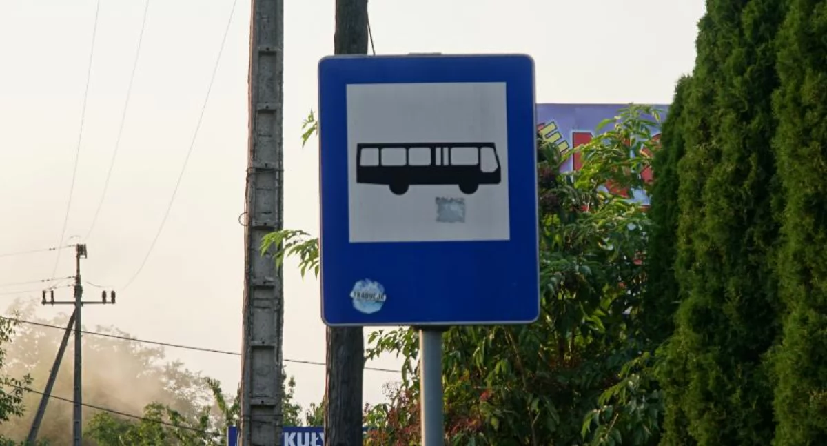 komunikat, Sprawdź rozkład jazdy autobusów komunikacji miejskiej Zambrowie - zdjęcie, fotografia