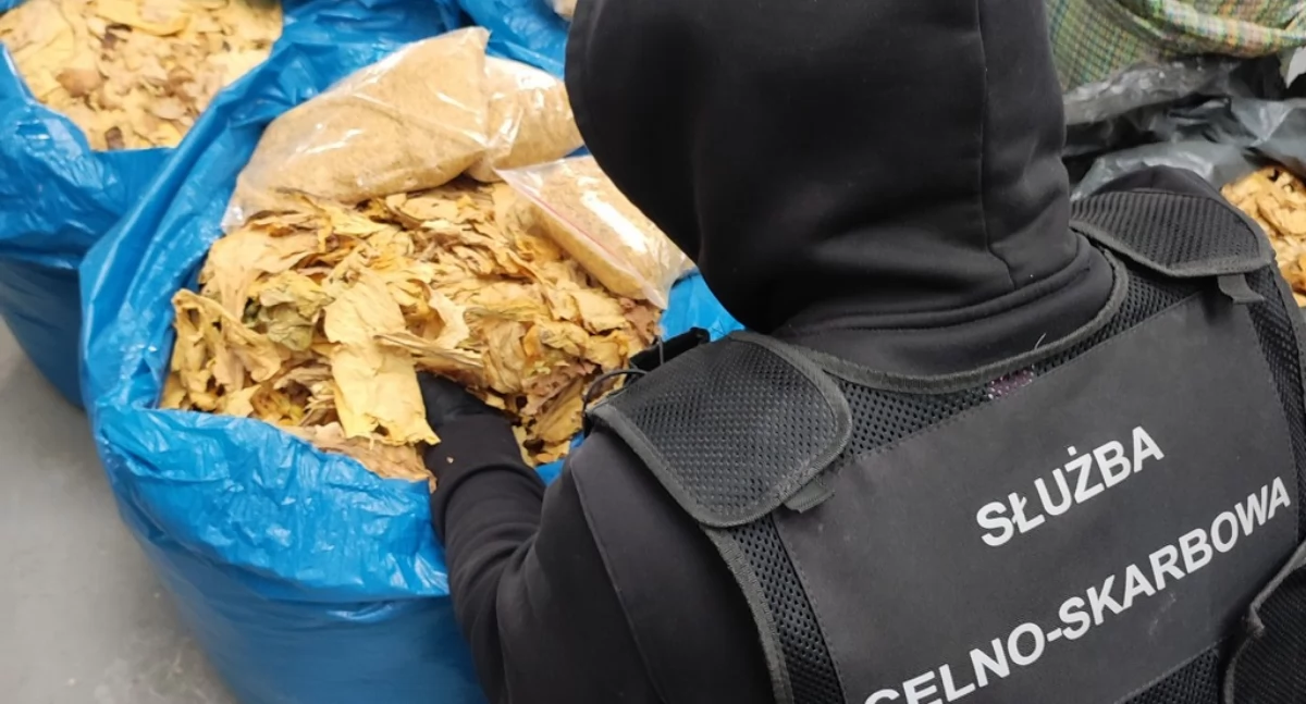 z regionu, latek zarzutami paserstwa akcyzowego [FOTO] - zdjęcie, fotografia