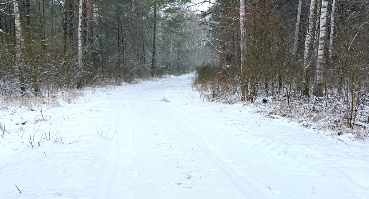 zdjęcie: zima w gminie Zambrów