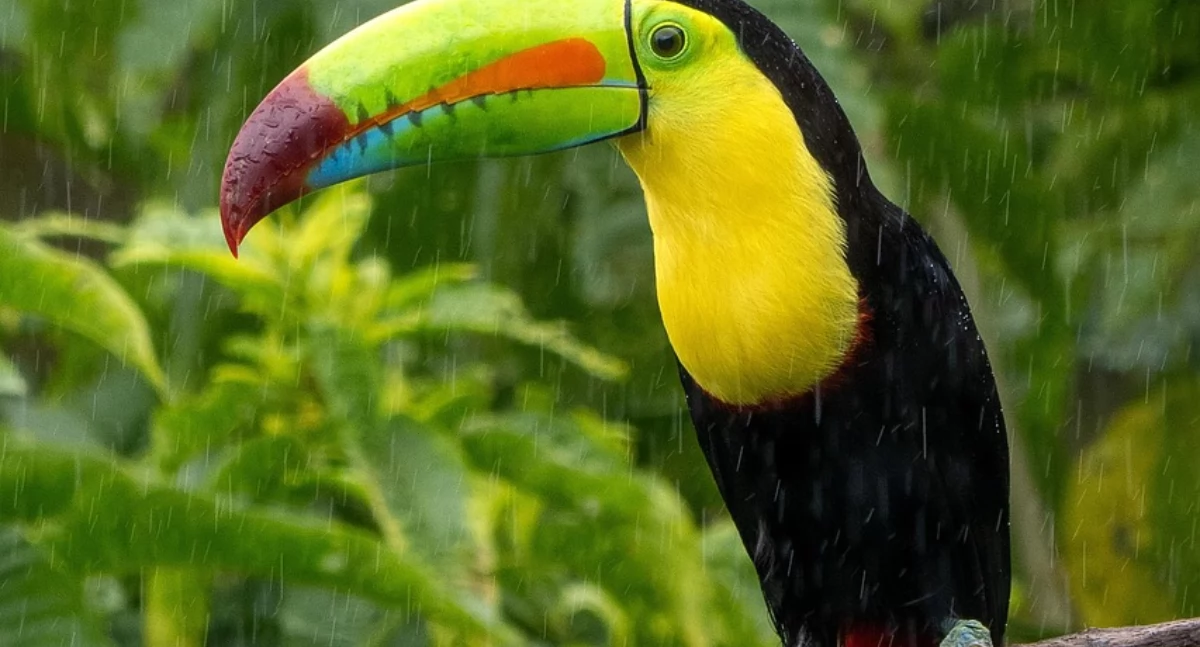 artykuł sponsorowany, Zambrowa koniec świata zawsze trzeba podróżować ważnym paszportem - zdjęcie, fotografia