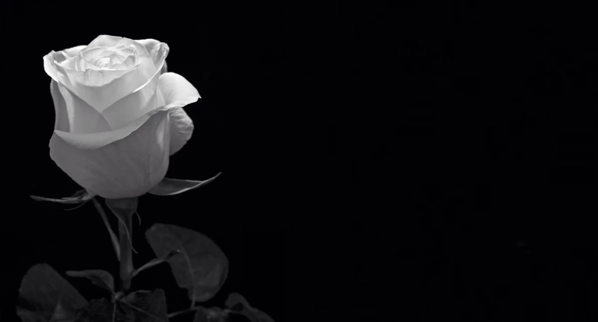 odeszli od nas..., Podziękowanie udział ostatnim pożegnaniu - zdjęcie, fotografia