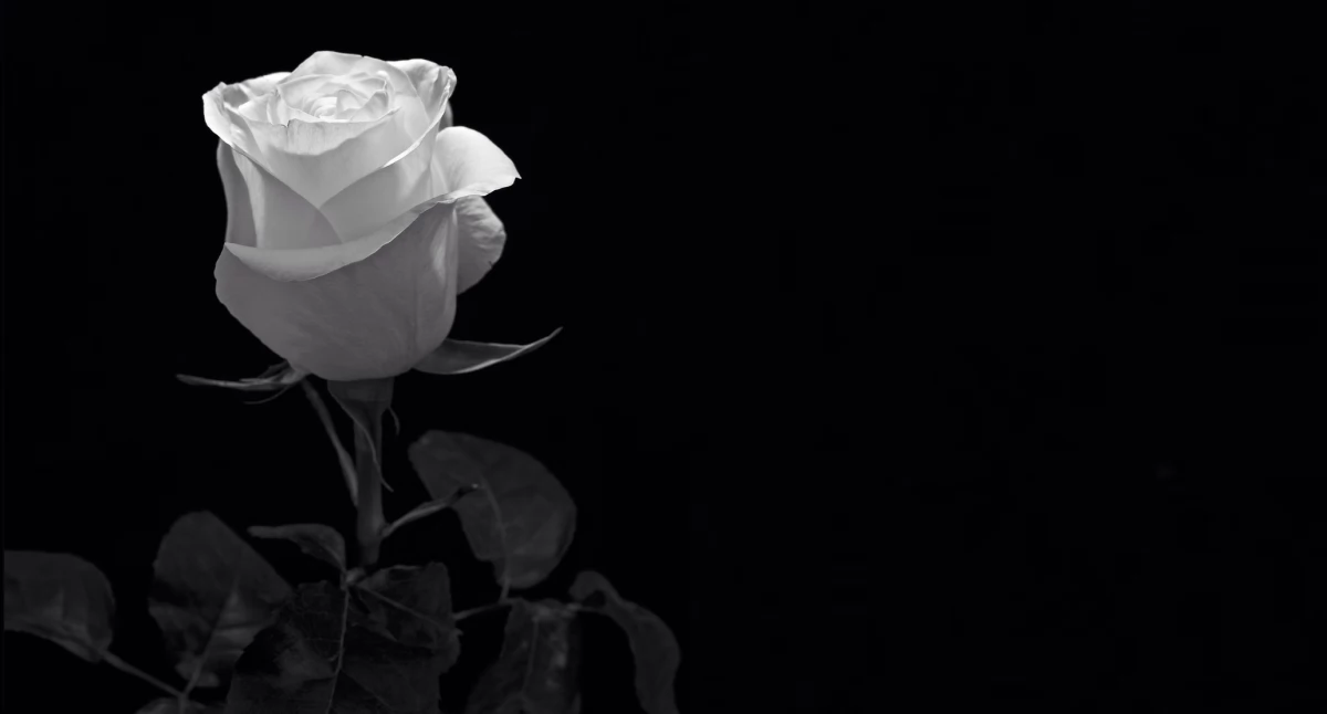 odeszli od nas..., Rodzina Adama Borejki dziękuje wszystkim udział ostatnim pożegnaniu - zdjęcie, fotografia