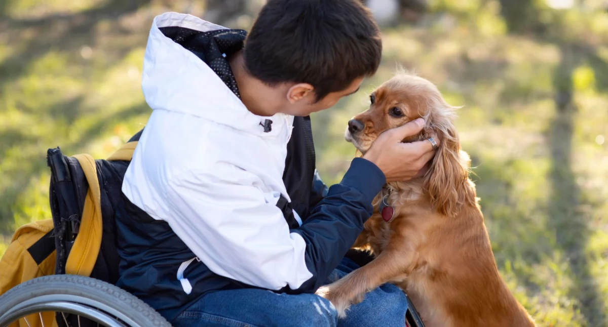  biznes i praca, tysięcy osób Podlaskiem otrzymało dodatek dopełniający renty socjalnej - zdjęcie, fotografia