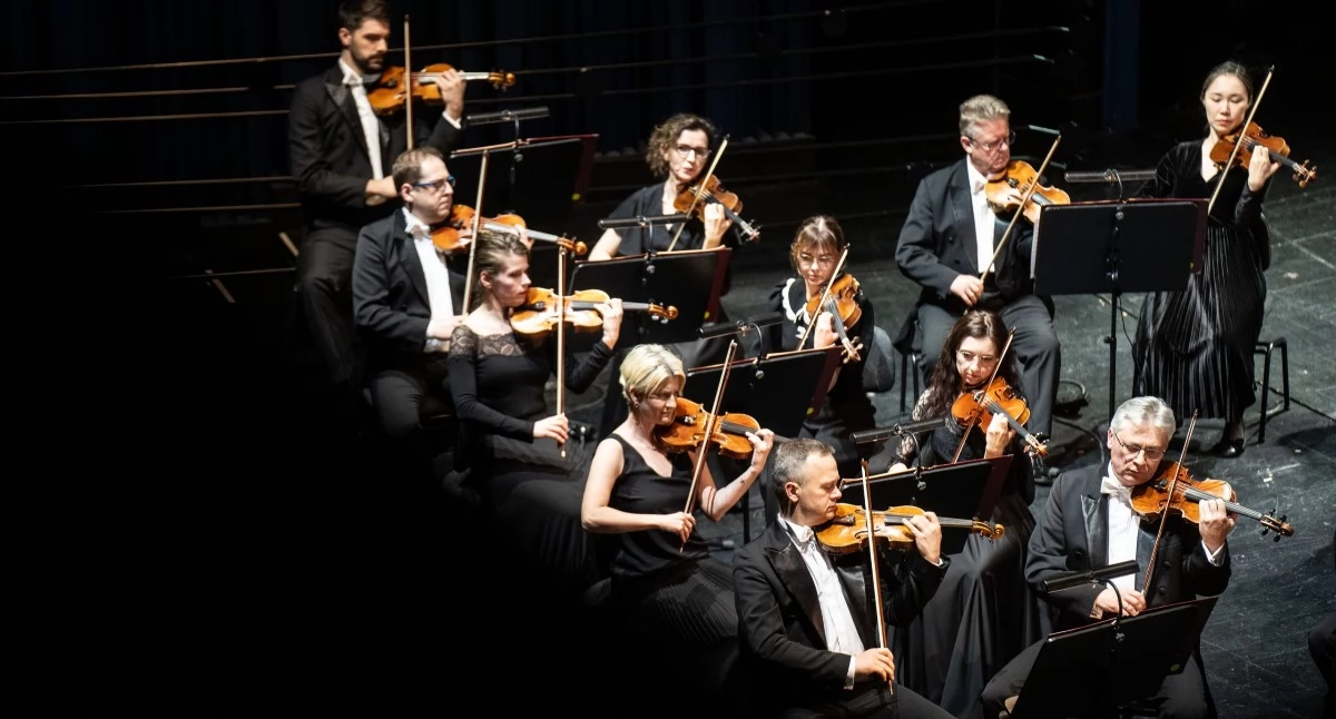 muzyka koncerty, ogłasza przesłuchanie muzyka orkiestry skrzypaczka/skrzypek - zdjęcie, fotografia