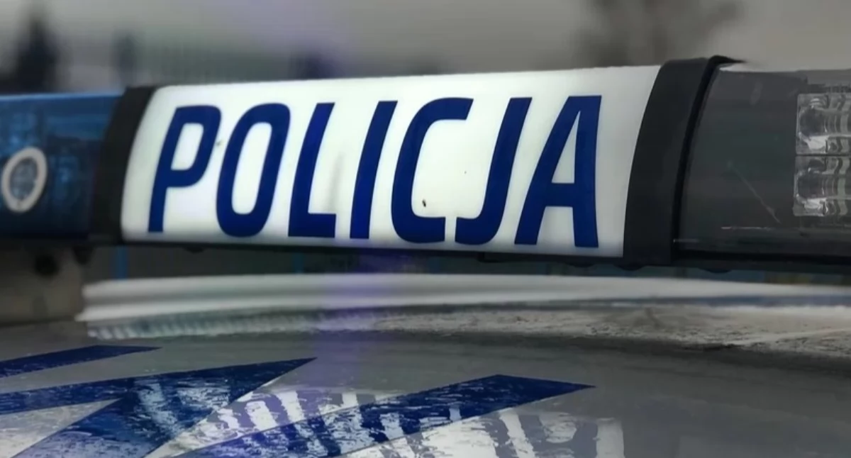 policja, Wynosili przez telewizor latek dwóch latków odpowiedzą kradzież włamaniem - zdjęcie, fotografia