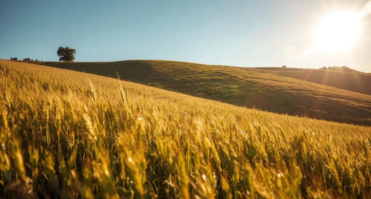 zdjęcie: składki KRUS II kwartał 2026 r.