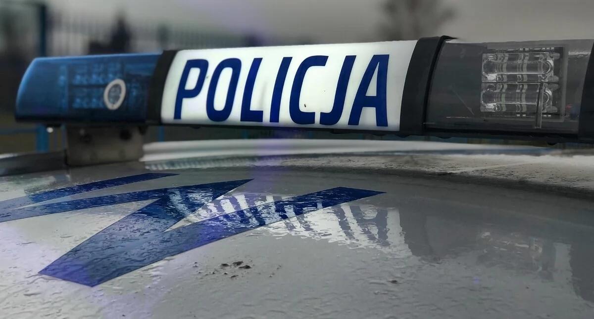 policja, Marihuana kastet kurtce latka mieszkańcy Zambrowa rękach policji - zdjęcie, fotografia