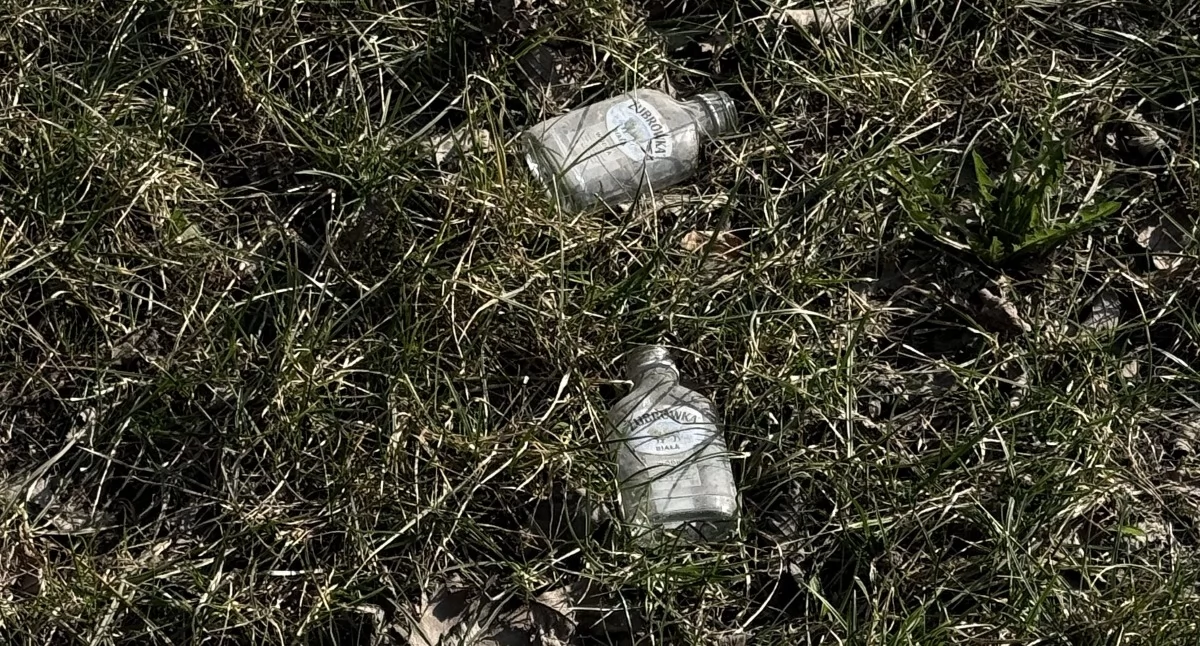 zdjęcie: ul. Pileckiego, Zambrów