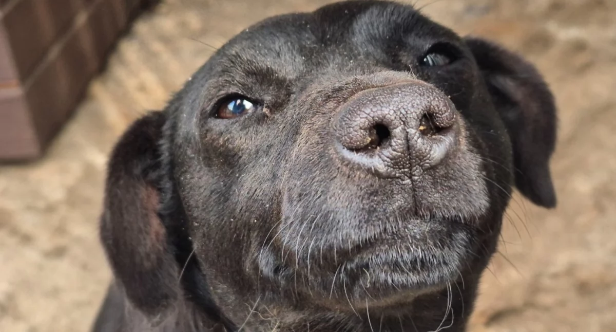 fot. UG Kołaki Kościelne