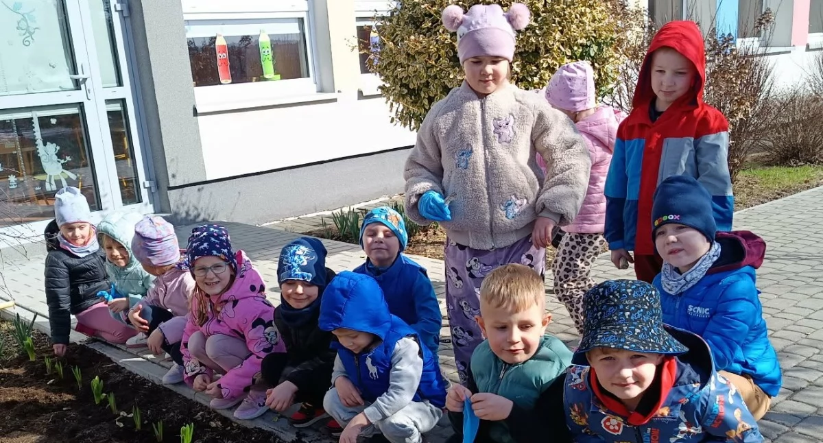 edukacja, Podsumowanie kolejnego etapu realizacji programu grantowego „Czysta Energii Szkole Podstawowej Wiśniewie [FOTO] - zdjęcie, fotografia