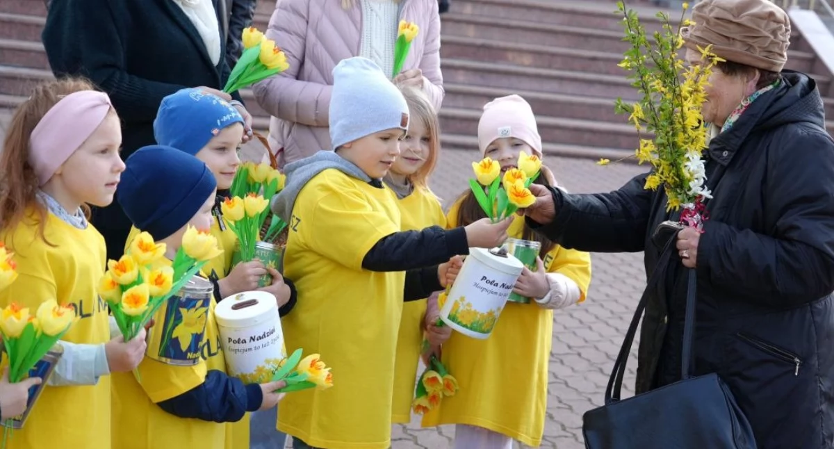 zdjęcie: Pola Nadziei w Zambrowie