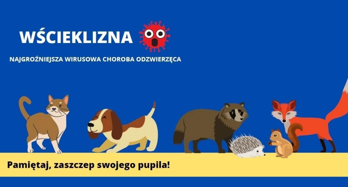 zdrowie i uroda, Powiatowy Inspektorat Weterynarii ostrzega Uwaga wściekliznę! - zdjęcie, fotografia