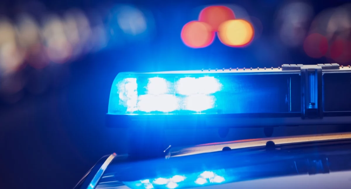 policja, zaatakował letnie dziecko Chłopiec ranami twarzy trafił szpitala - zdjęcie, fotografia
