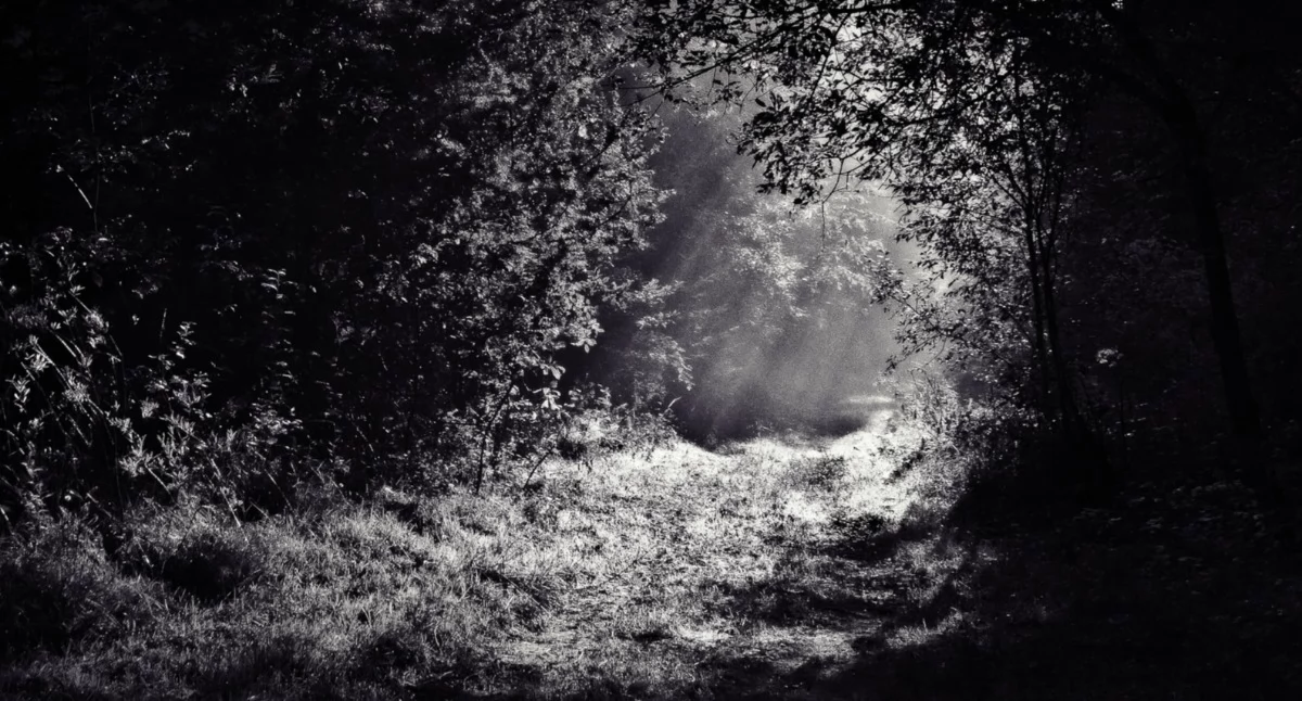 konkursy, Konkurs „Nocnego Marszu Pamięci Czerwonym Borze - zdjęcie, fotografia