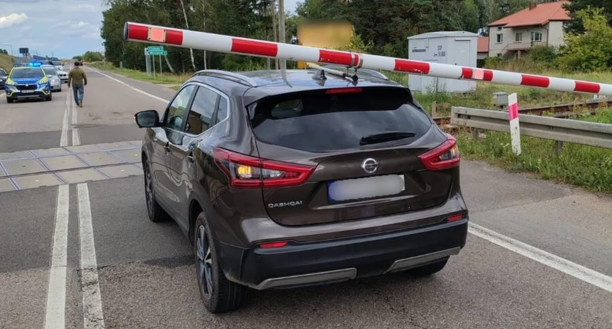 policja, Rogatka opadła Gosiach Dużych Kierująca zignorowała czerwone światło - zdjęcie, fotografia