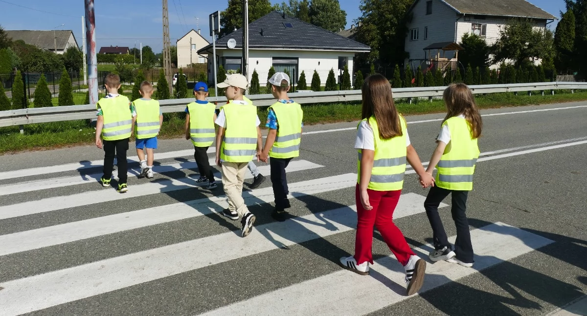edukacja, Najmłodsi uczniowie Wiśniewa uczyli zasad ruchu drogowego [FOTO] - zdjęcie, fotografia