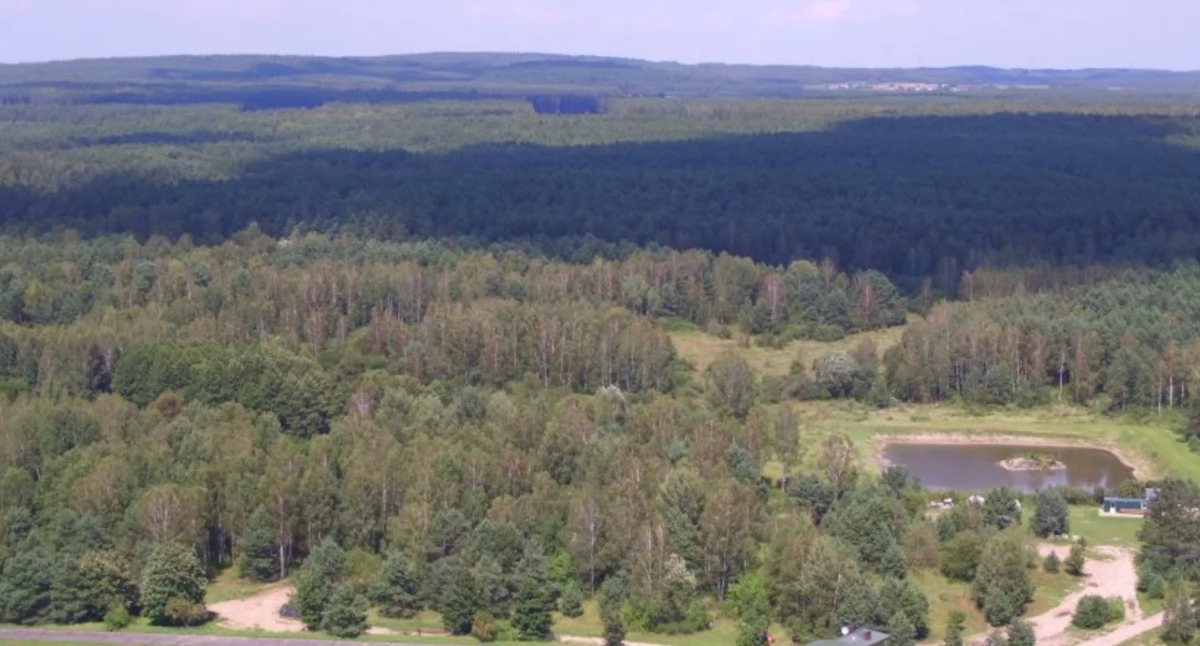Czerwony Bór, fot. Urząd Gminy Zambrów