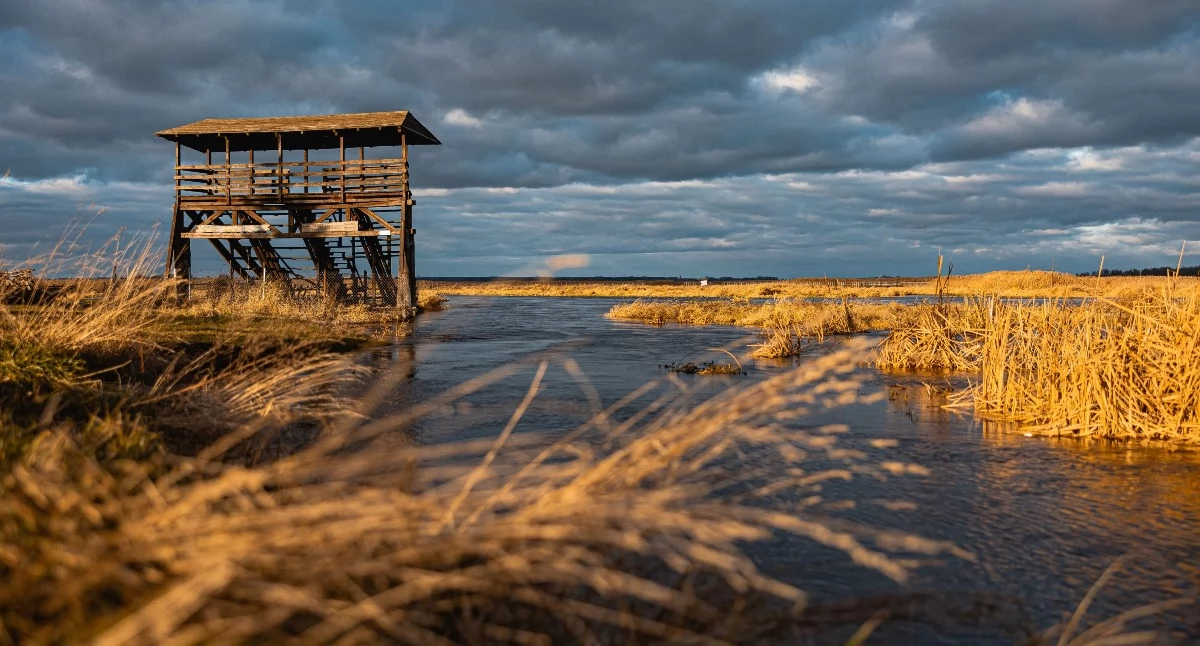 z regionu, Podlaskich Czeków Turystycznych wyczerpana błyskawicznym tempie - zdjęcie, fotografia