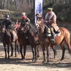 zdjęcie nr 245