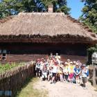 zdjęcie nr 51
