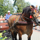 zdjęcie nr 11