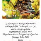 zdjęcie nr 12