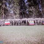 Fotka nr 5 z 18
