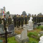zdjęcie nr 252