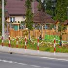 zdjęcie nr 7