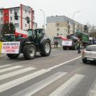 Fotka nr 4 z 117