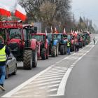 zdjęcie nr 12