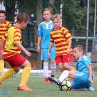 zdjęcie nr 12